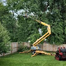 Best Tree Health Inspection  in Arkoma, OK